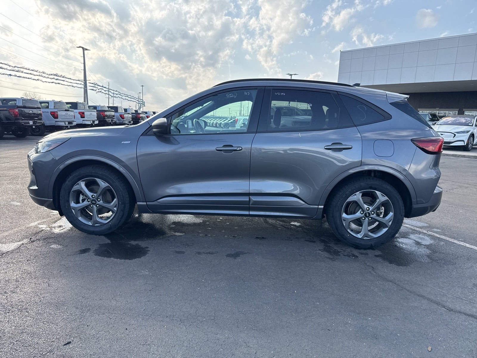 2024 Ford Escape ST-Line