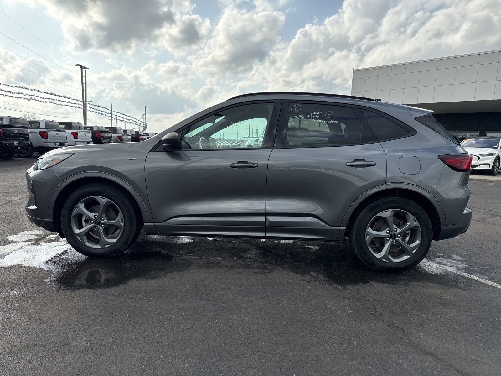 2024 Ford Escape ST-Line