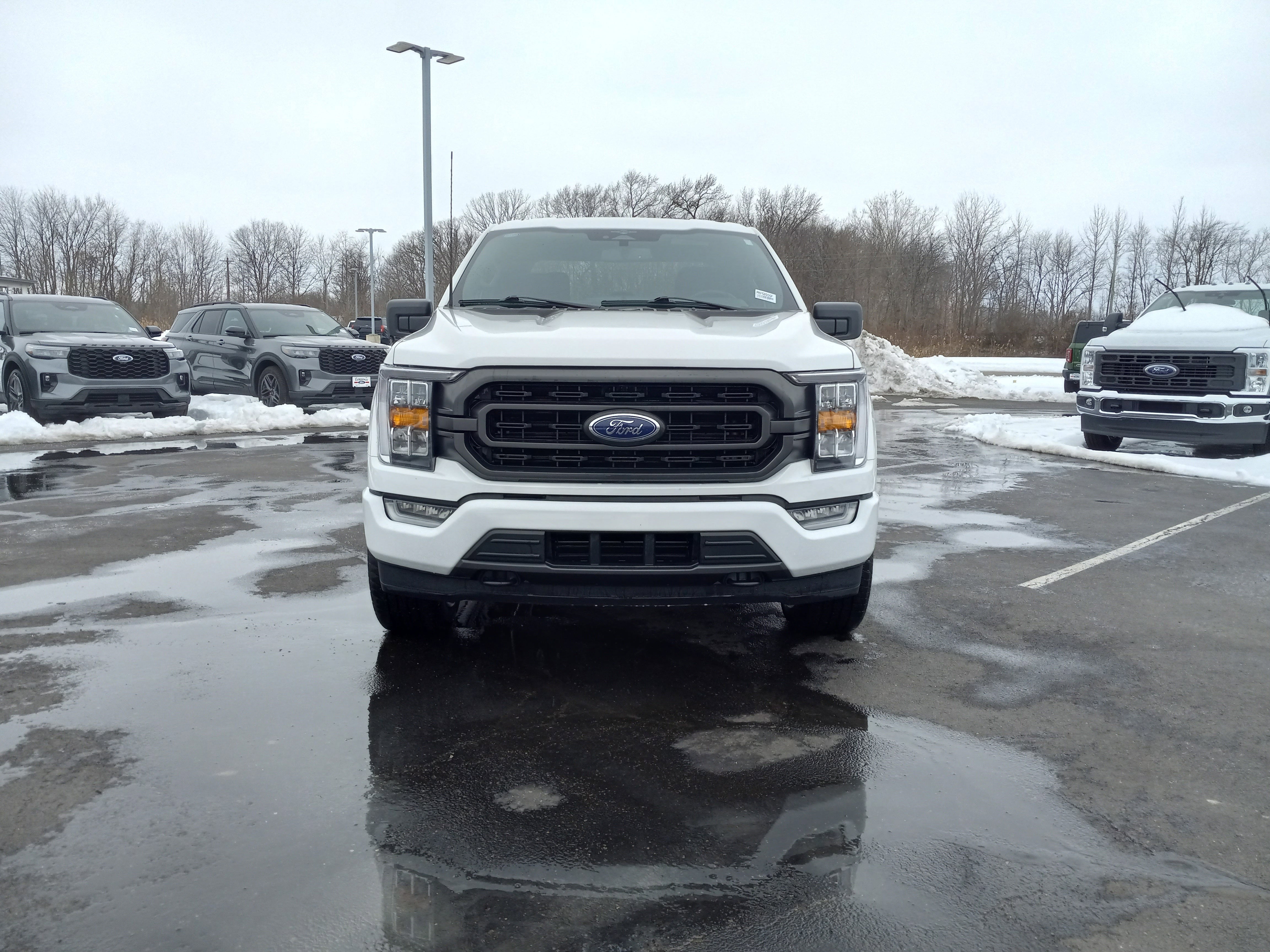 2023 Ford F-150 XLT 4WD SuperCrew 5.5' Box
