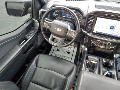 2023 Ford F-150 XLT 4WD SuperCrew 5.5' Box